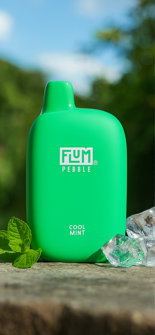 Flum Pebble 6000 Puffs Rechargeable Disposable Vape